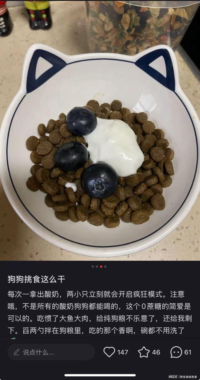 方”撬动萌宠经济与母婴信任双赛道麻将胡了app简爱酸奶以“纯净配(图2)