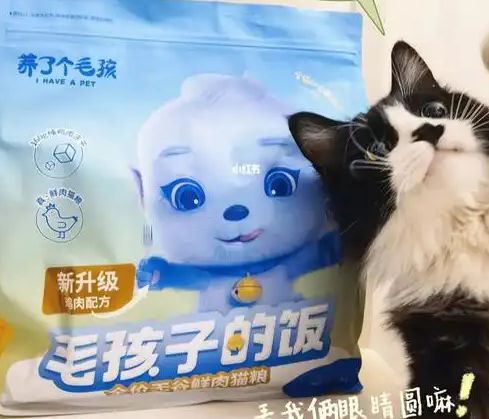 ！三只松鼠靠什么重返宠物食品赛道麻将胡了零食巨头盯上毛孩子口粮(图2)