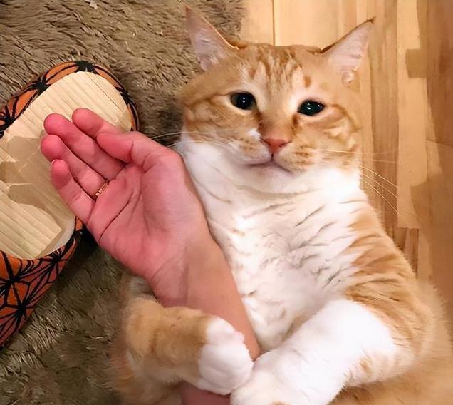 久”了不能送人原因很真实！麻将胡了2老人