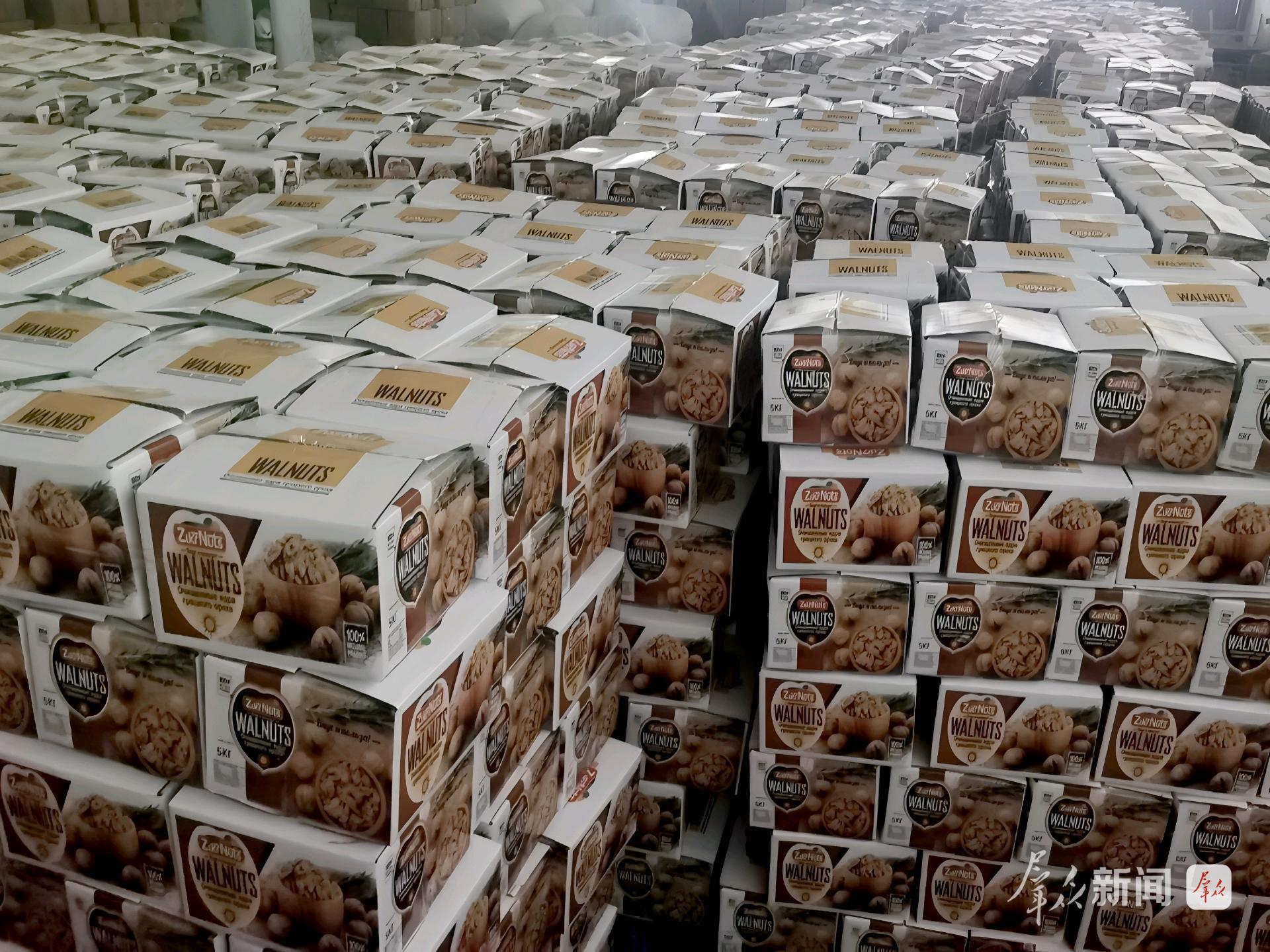 洛:小核桃闯荡大世界PG麻将胡了2试玩商(图1) 洛:小核桃闯荡大世界PG麻将胡了2试玩商(图1)