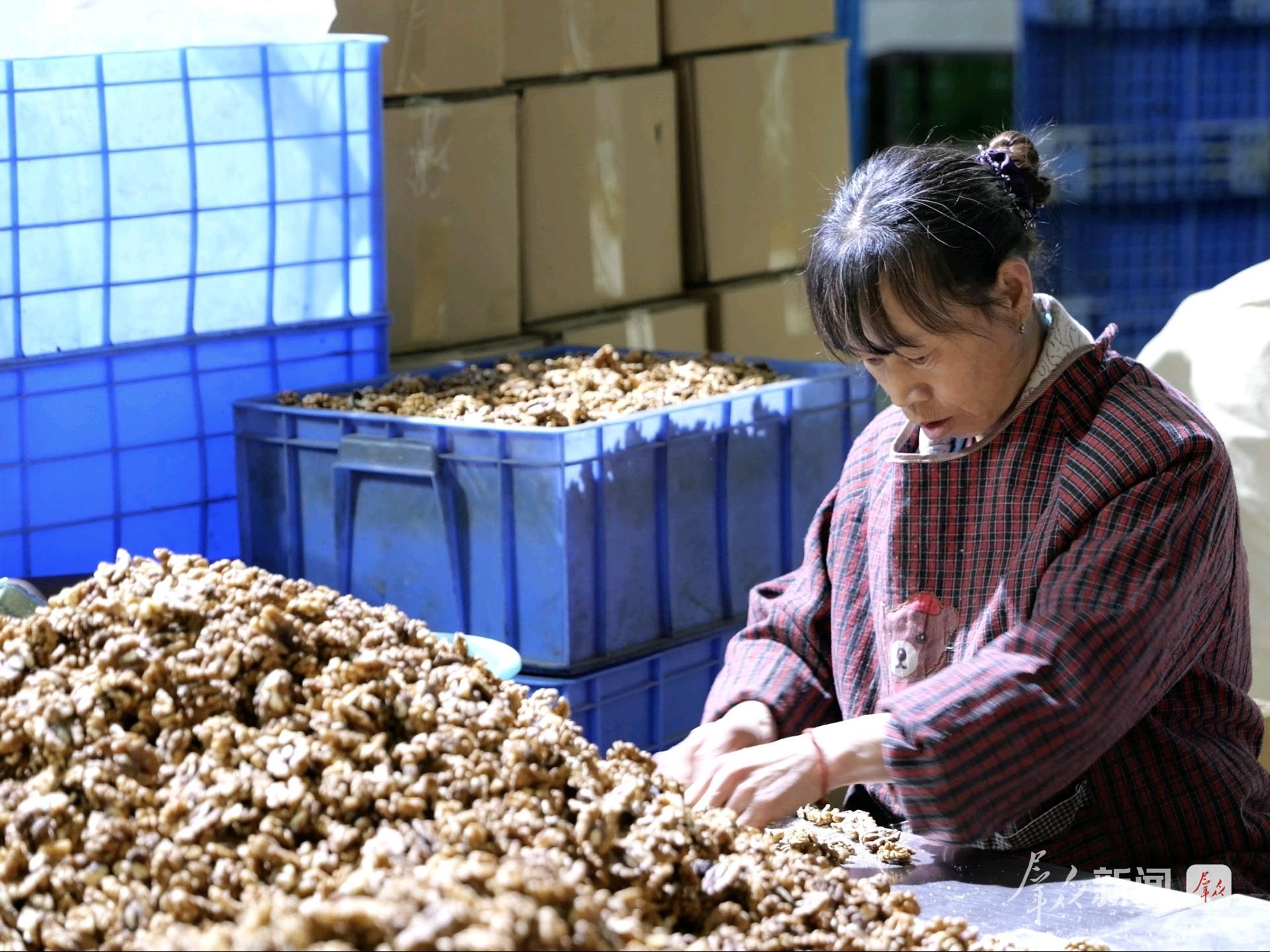 洛:小核桃闯荡大世界PG麻将胡了2试玩商(图2) 洛:小核桃闯荡大世界PG麻将胡了2试玩商(图2)