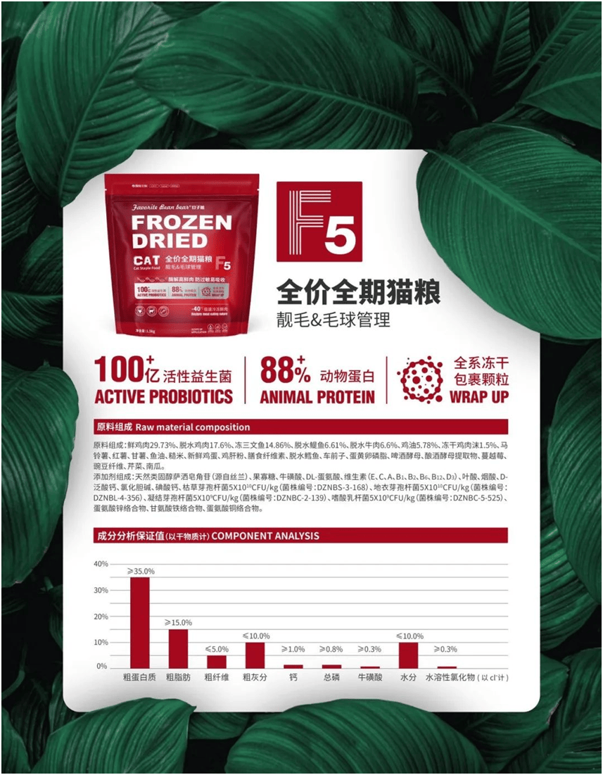 食品品牌上新不断上心永远麻将胡了2试玩豆子熊宠物(图1)