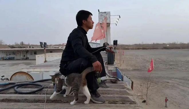世：主人赵朔公开去世细节可能死于投毒！麻将胡了2游戏入口网红小猫“悟空”去(图3)