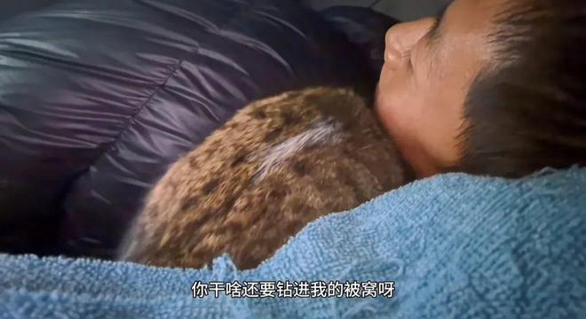 世：主人赵朔公开去世细节可能死于投毒！麻将胡了2游戏入口网红小猫“悟空”去(图4)