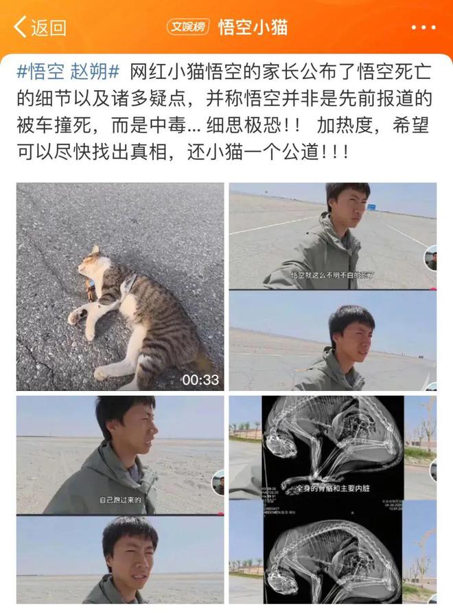 世：主人赵朔公开去世细节可能死于投毒！麻将胡了2游戏入口网红小猫“悟空”去(图7)
