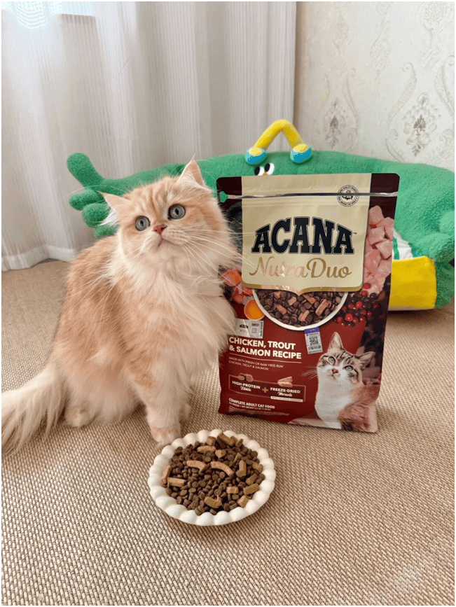 球首发“双拼倍护猫粮”巨头的中国战略再提速PG电子麻将胡了宠物食品新闻：爱肯拿在华全(图3)