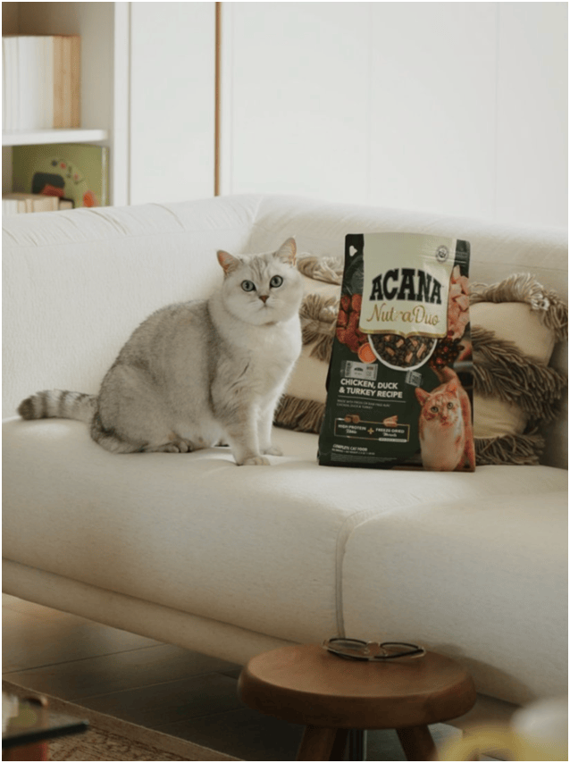 球首发“双拼倍护猫粮”巨头的中国战略再提速PG电子麻将胡了宠物食品新闻：爱肯拿在华全(图4)