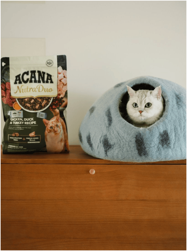 球首发“双拼倍护猫粮”巨头的中国战略再提速PG电子麻将胡了宠物食品新闻：爱肯拿在华全(图7)