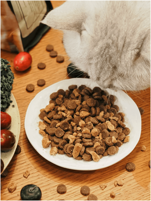 球首发“双拼倍护猫粮”巨头的中国战略再提速PG电子麻将胡了宠物食品新闻：爱肯拿在华全(图9)